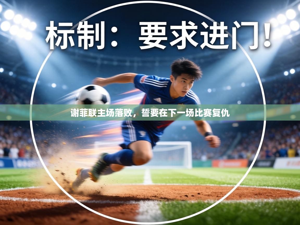 谢菲联主场落败，誓要在下一场比赛复仇